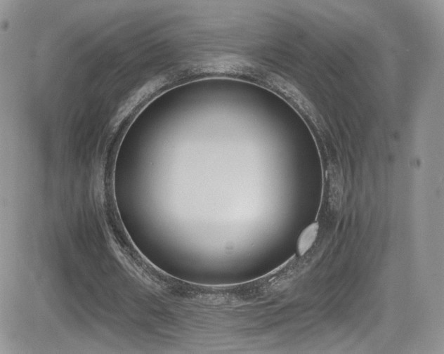 X0000081570482200701151216