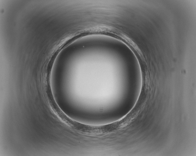 X0000081570485200701151216
