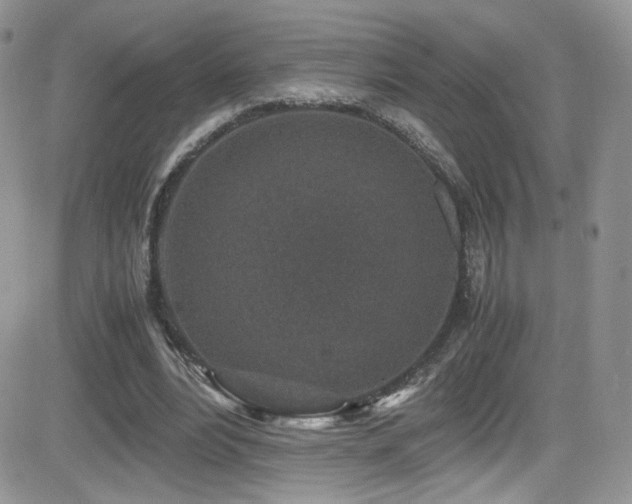 X0000081570488200701151216