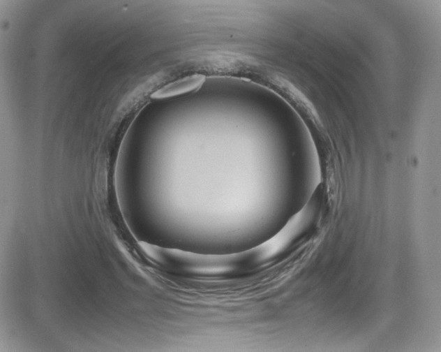 X0000081570493200701151215