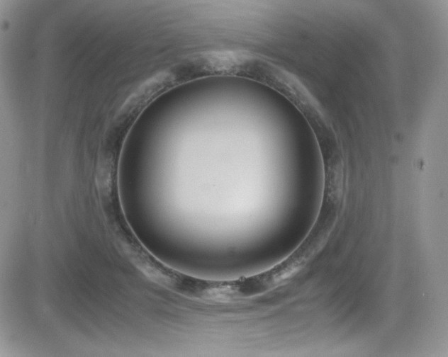 X0000081570505200701151215