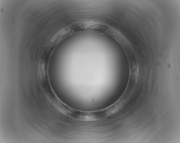 X0000081570506200701151215