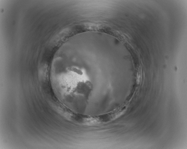 X0000081570511200701151215