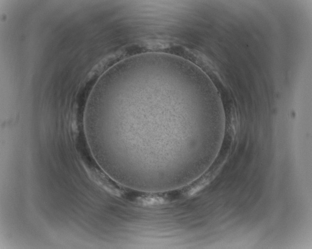 X0000081570512200701151215