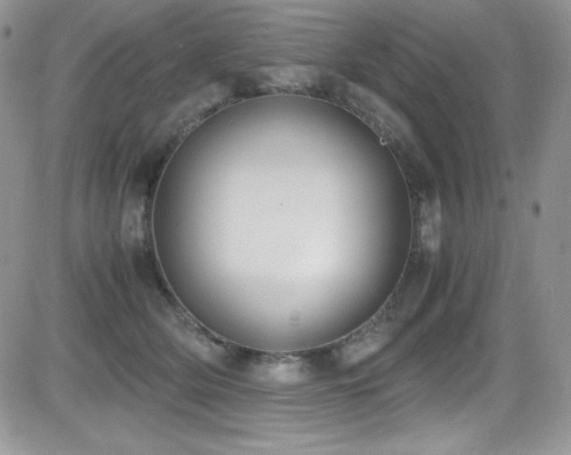 X0000081570514200701151215