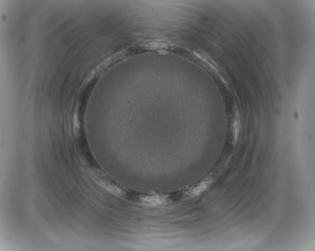 X0000081570516200701151215