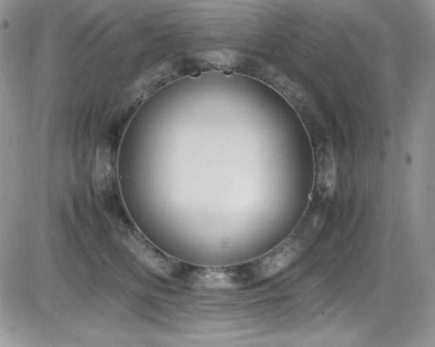 X0000081570518200701151215