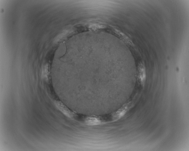 X0000081570519200701151215