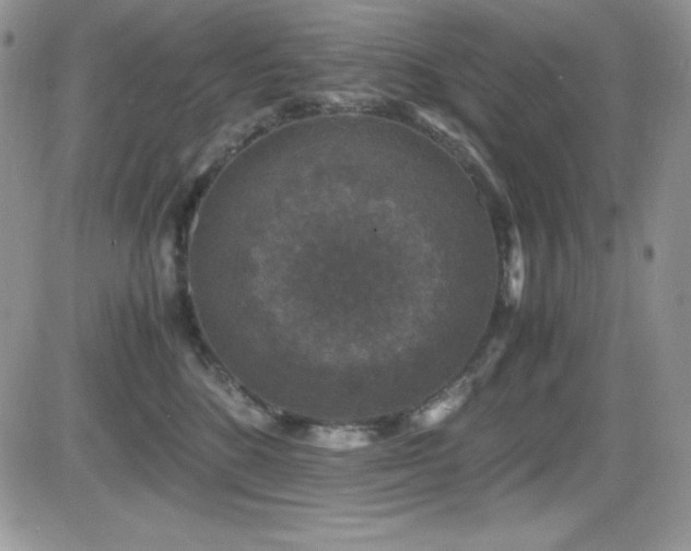 X0000081570520200701151215