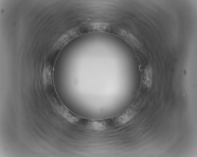 X0000081570522200701151215