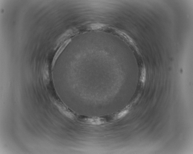 X0000081570524200701151215