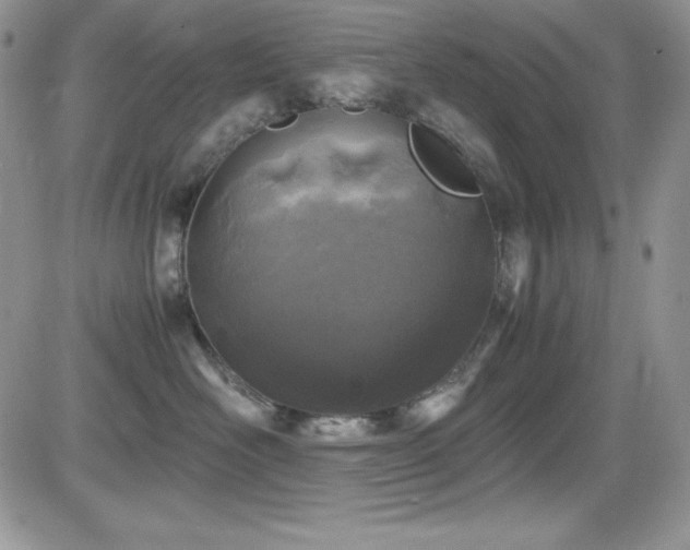 X0000081570526200701151215