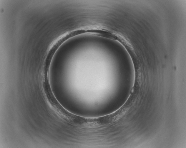X0000081570536200701151214