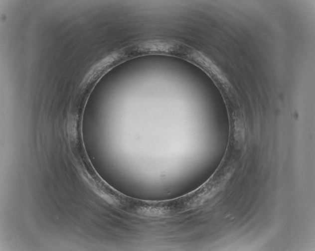 X0000081570537200701151214