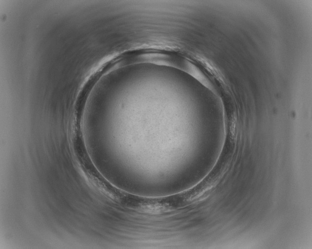 X0000081570540200701151214