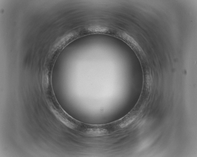 X0000081570541200701151214