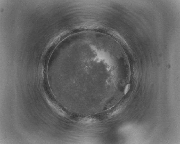 X0000081570542200701151214