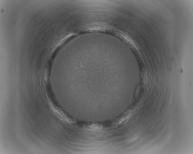 X0000081570546200701151214