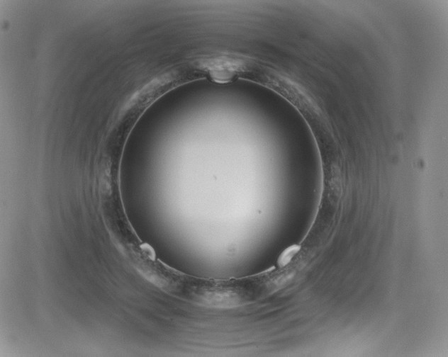 X0000081570547200701151214