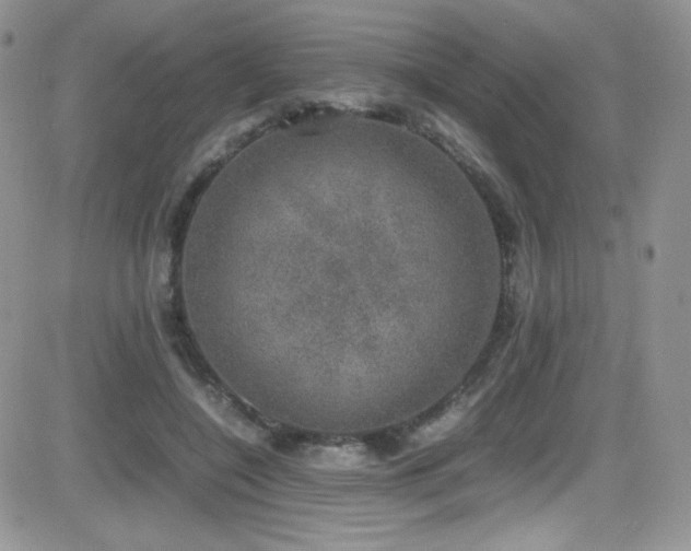 X0000081570548200701151214