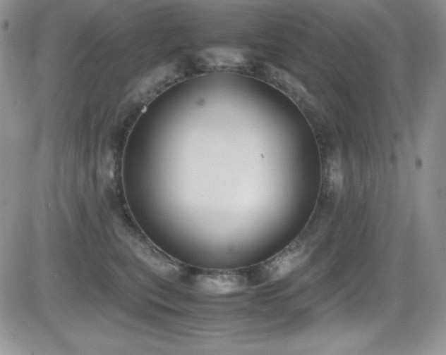 X0000081570567200701151215