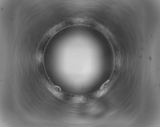 X0000081570574200701151215