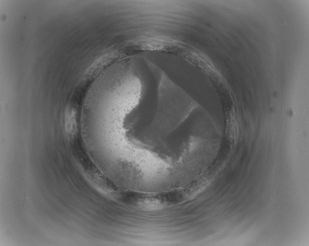 X0000081570598200701151214