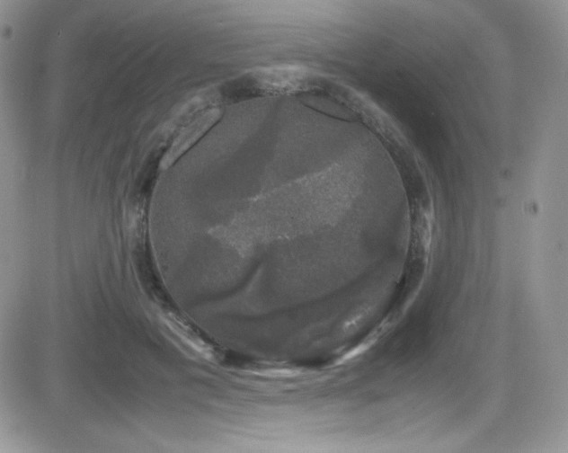 X0000081570601200701151214