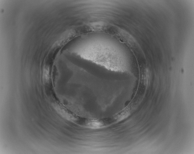 X0000081570610200701151214