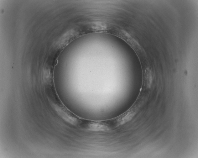X0000081570614200701151213