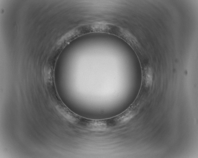 X0000081570619200701151213