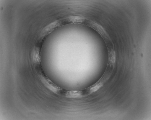 X0000081570622200701151213