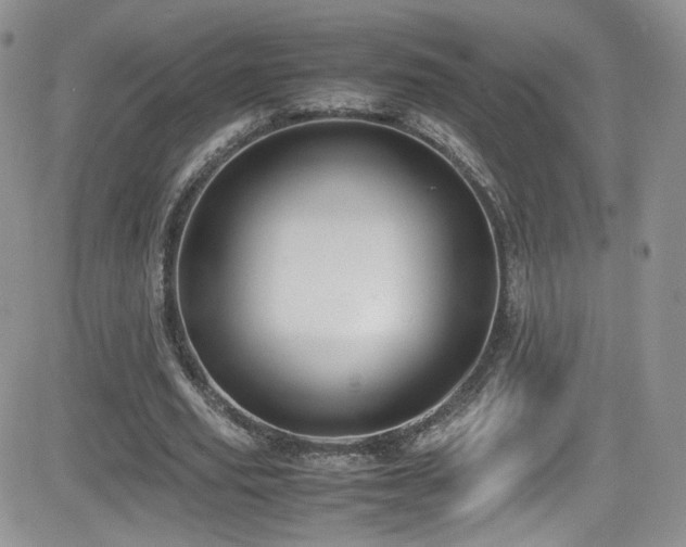 X0000081570629200701151213