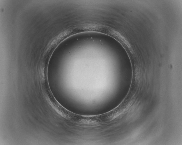 X0000081570633200701151213