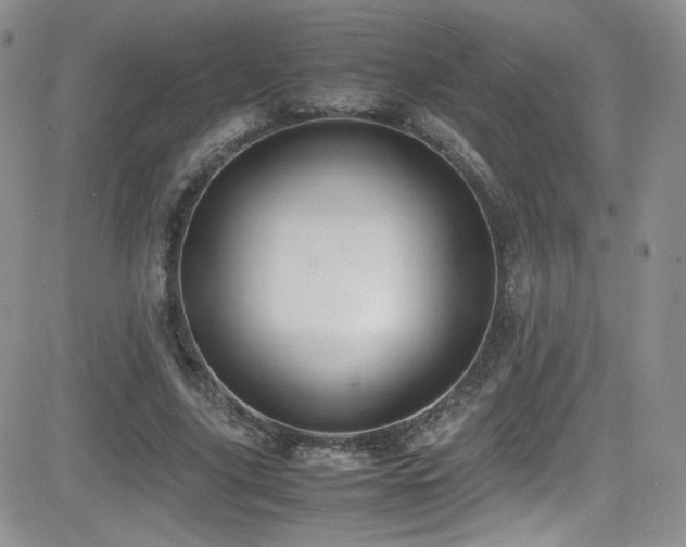 X0000081570635200701151213
