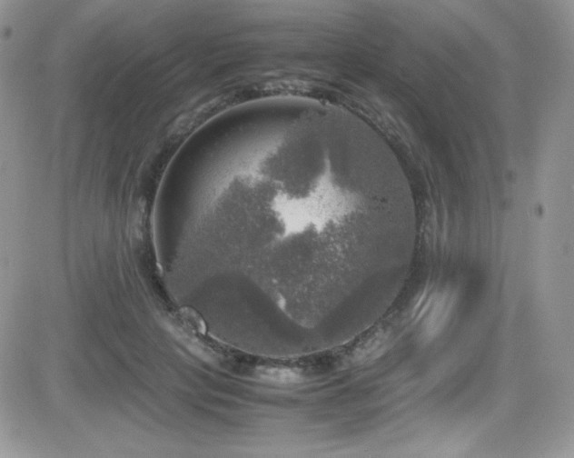 X0000081570649200701151213