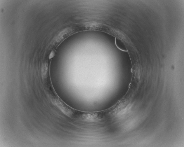 X0000081570660200701151213