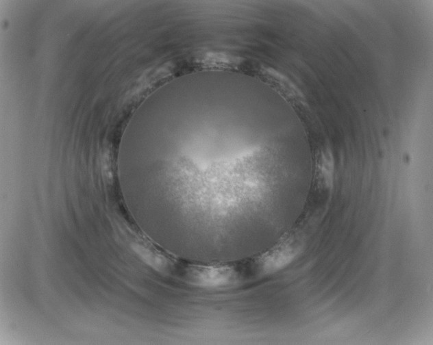 X0000081570663200701151213