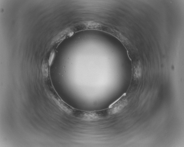 X0000081570666200701151213