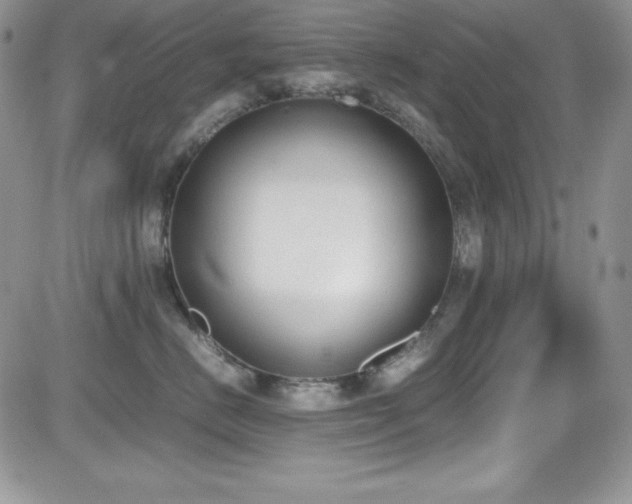 X0000081570670200701151213