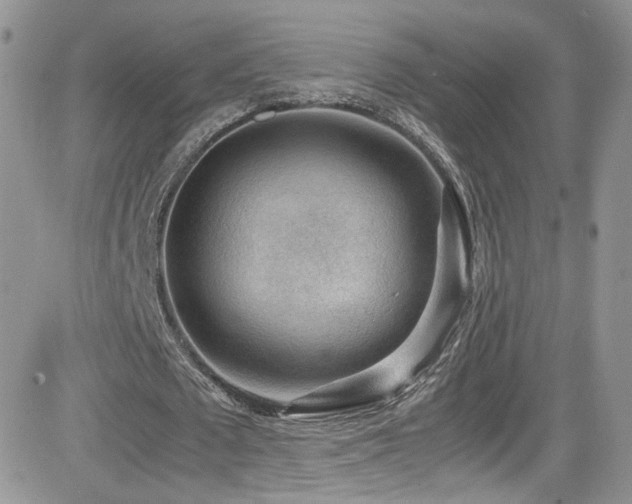 X0000081570673200701151212