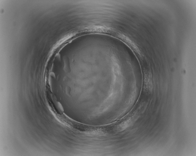 X0000081570674200701151212