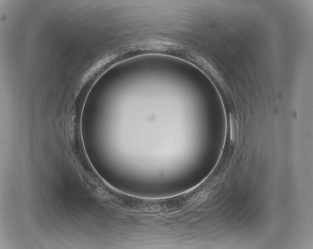 X0000081570675200701151212