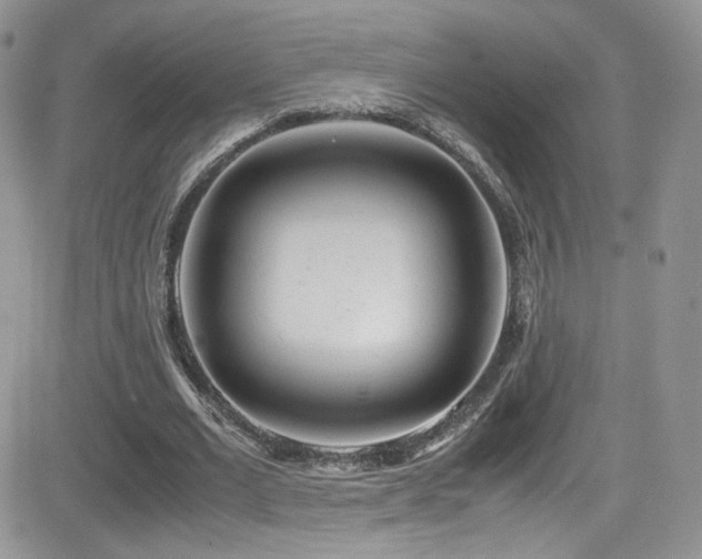 X0000081570677200701151212