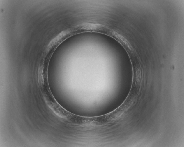 X0000081570682200701151212