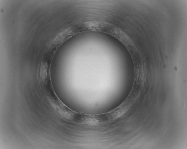 X0000081570702200701151212
