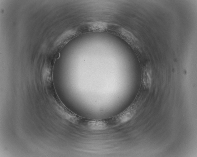 X0000081570714200701151212