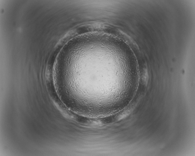 X0000081570715200701151212