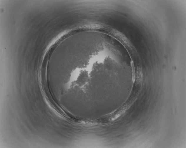 X0000081570726200701151211