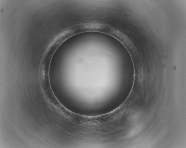 X0000081570731200701151211